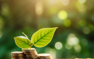 Green Economy