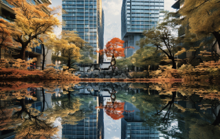 Bldg Reflection