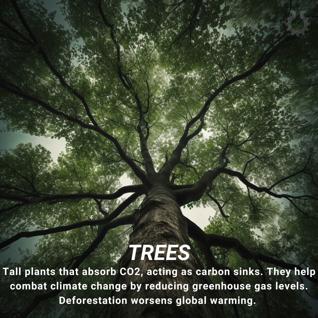Trees