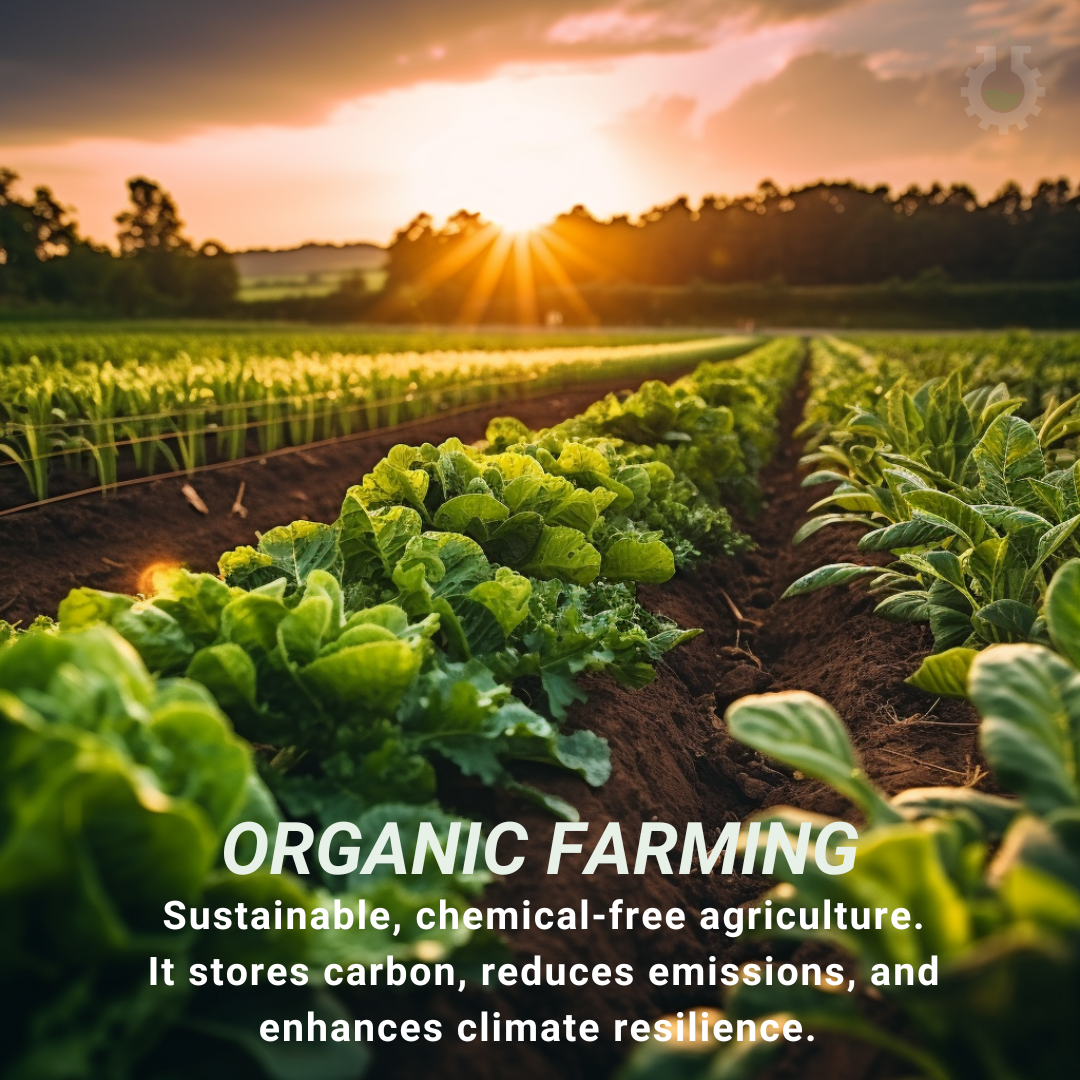 Climate Change Poster Organic Farming